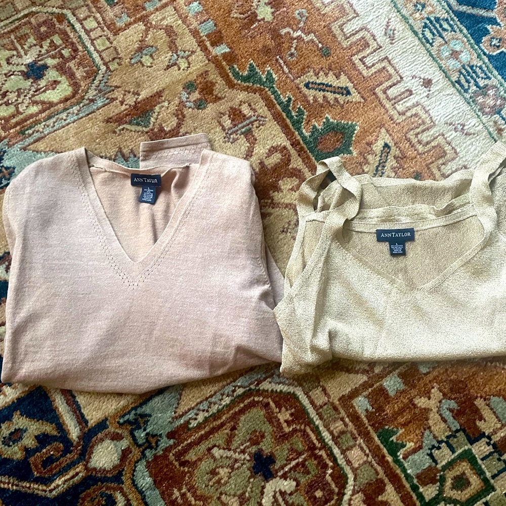 Ann Taylor Bindle sweater and top Large